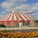 Читинский государственный цирк «Шапито» в городе Чита