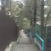 Лестница в городе Гурзуф