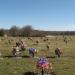 Green Acres Cemetery