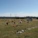 Green Acres Cemetery