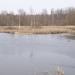 Остров в городе Гатчина