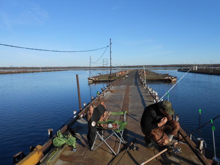 клев в шатуре клев во шатуре
