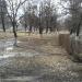 Лесопосадка в городе Раменское