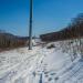 Просека ЛЭП в городе Владивосток