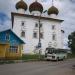 Чайка в городе Каргополь