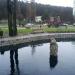 Staw in Sopot city