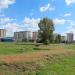 Площадка для выгула домашних животных в городе Гомель