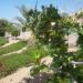 Grean Area in Bandar-e Chabahar Port city