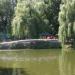 Летнее кафе в городе Запорожье