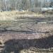 Заболоченный пруд в городе Павловский Посад