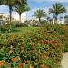 Mohammadi Hwaidak Square Hurghada (en) في ميدنة الغردقة    