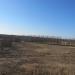 Тополиная аллея в городе Киржач