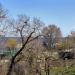 Главный корпус в городе Новая Каховка