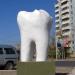 Памятник Зубу в городе Чита