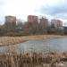 Озеро Торфянка в городе Лыткарино