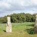 Menhirs de Pranu Muttedu II