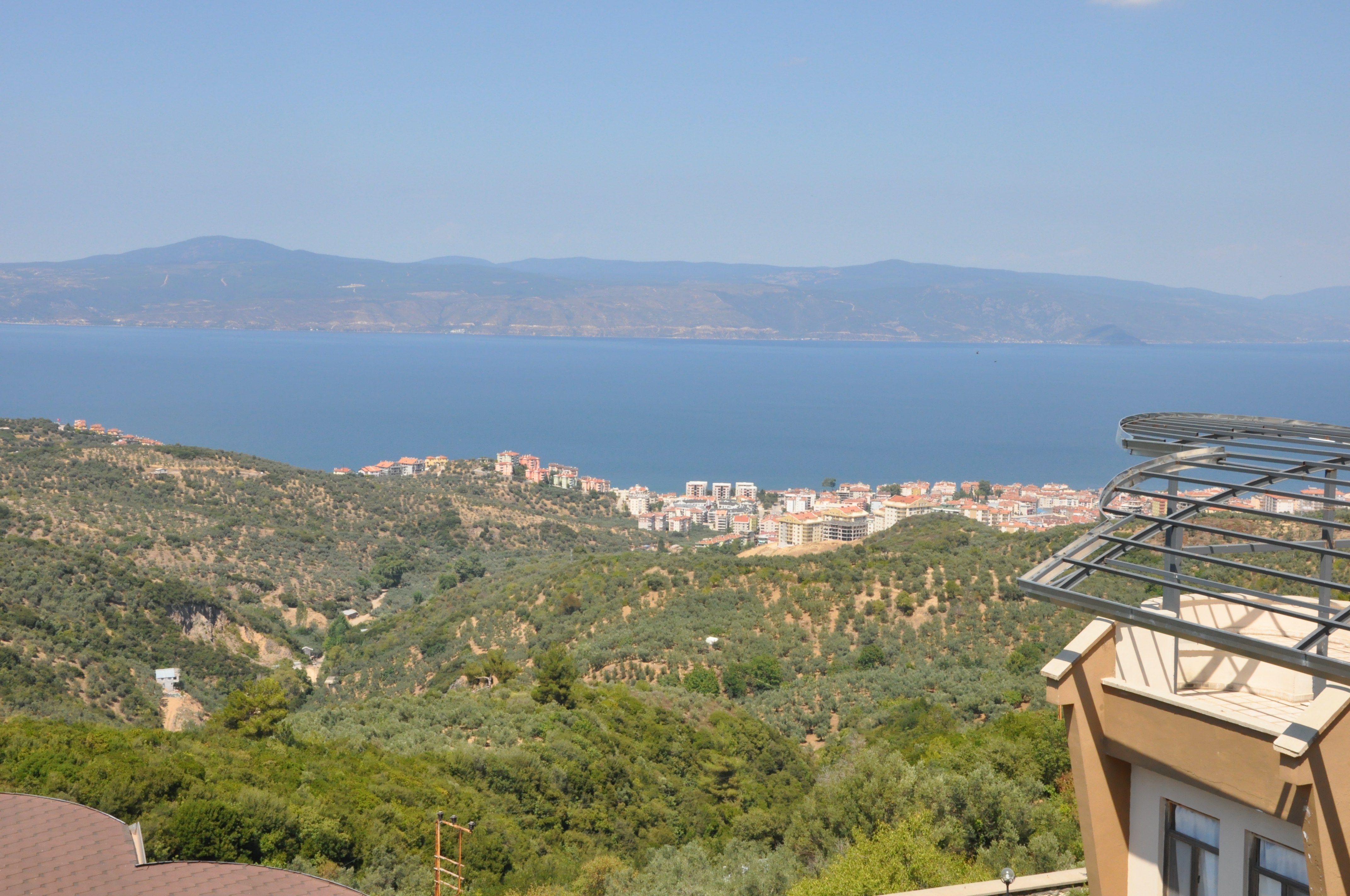 wikimapia