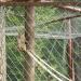 Zoo
