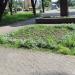 Клумба в городе Гомель