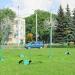 Композиция «Одуванчики» в городе Гомель