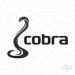 Cobra Abayah in Dubai city