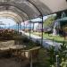 Guven's Restaurant and Bar in Fethiye city