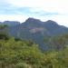 Tijuca National Park (Sector A - Tijuca Forest) in Rio de Janeiro city