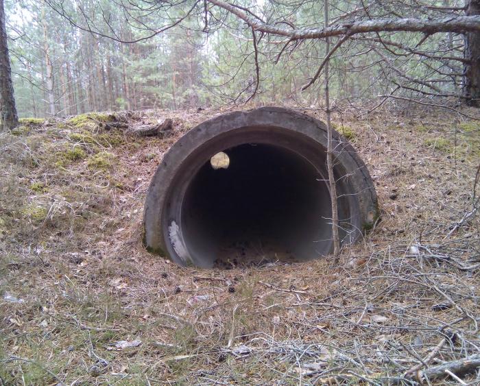 Труба