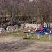 Центр зимнего отдыха «Снегопад» в городе Псков