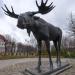Скульптура лося в городе Советск