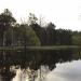Pond