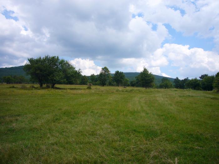 Gorni Koriten
