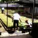 DENR Nursery Compound in Tagum city