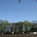Место незаконной торговли стройматериалами в городе Вишнёвое