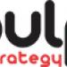 Pulp Strategy Communications Private Limited in Delhi city