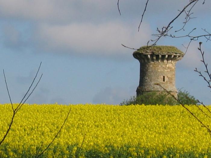 TourBelvédère