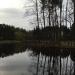 Pond
