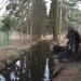 Pond