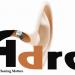 Adro Hearing Aid Centre in Chennai city