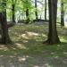 Domniemane grodzisko in Wodzisław Śląski city