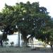 Praça Calcutá (pt) in Rio de Janeiro city