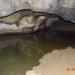 Bull Rock Cave