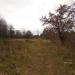 Старая насыпь в городе Долгопрудный