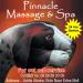 Pinnacle Massage & spa in Addis Ababa city