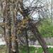 Застенная ул., 3 в городе Псков
