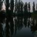 Тополине озеро в місті Севастополь
