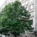ж.к. Зорница, бл. 8 in Ямбол city