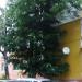 ж.к. Ген. Владимир Заимов, бл. 2 in Ямбол city