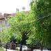 ул. Независима България, бл. 4 in Ямбол city