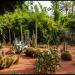 Majorelle Garden